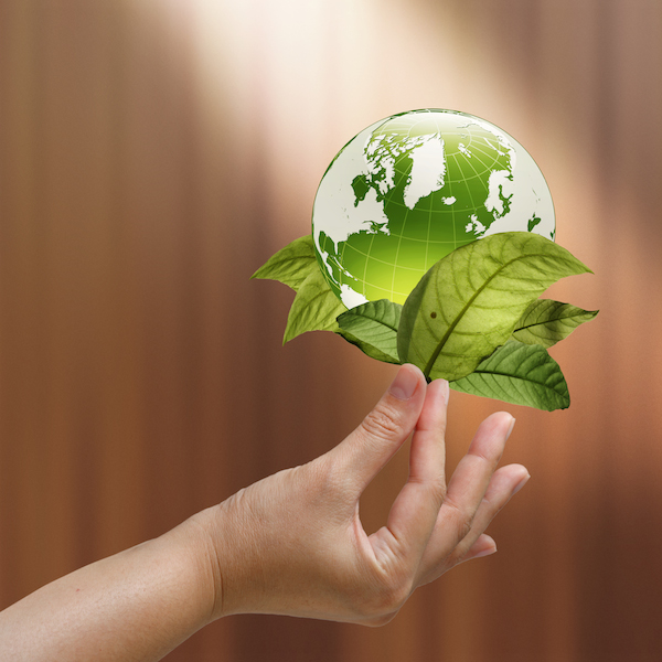 female hand holding green earth with a growing plant
