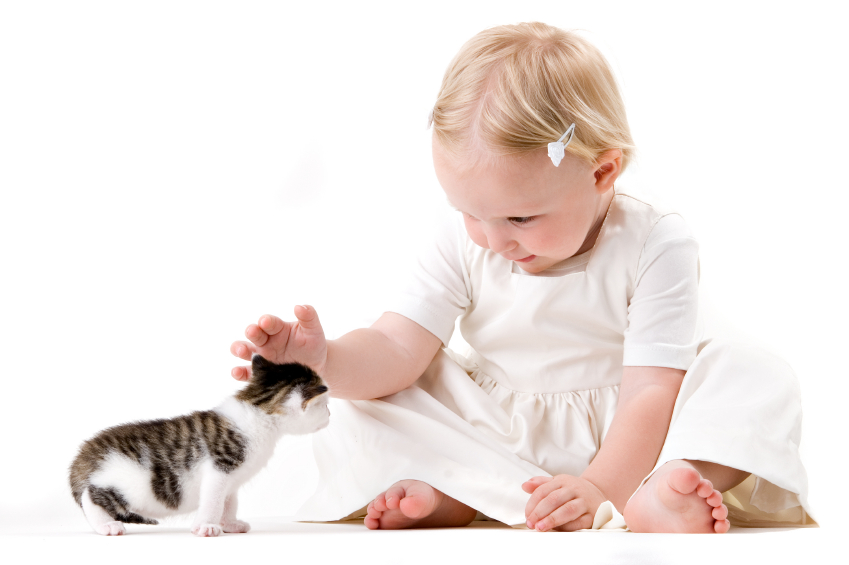 Teach children to be gentle and caring with pets