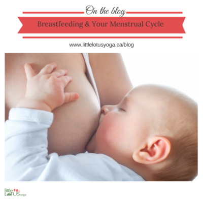 breastfeeding-menstrual-cycle