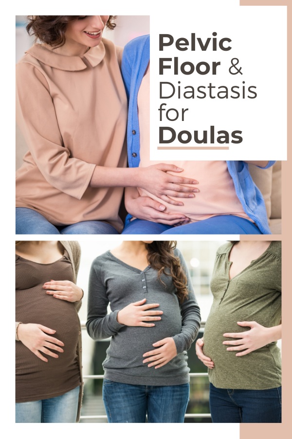 Pelvic Floor & Diastasis for Doulas